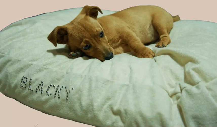 Dušek (mikrofiber) - Slika 3