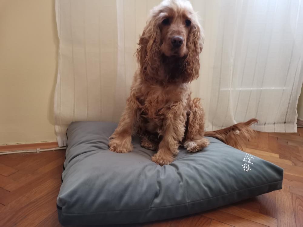 Jastuk (pliš) - Slika 3