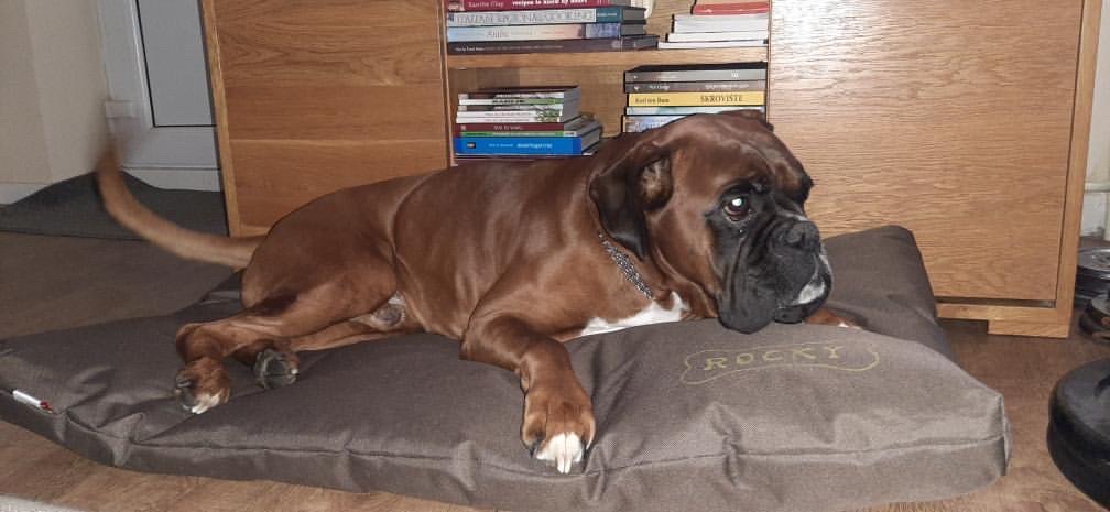 Jastuk (soteks) - Slika 4